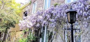 a street light in front of a building with wisteria at Casa Lairesse in Liège