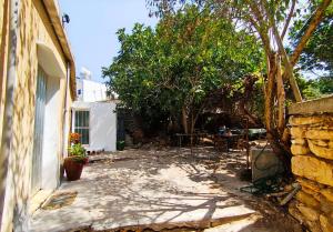 a backyard with a stone wall and a tree at DC Family Home & Garden - Traditional village house in Pano Arodes
