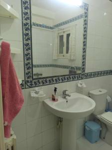 a bathroom with a sink and a toilet and a mirror at Appartement équipé et confortable à hammamet nord in Hammamet Nord