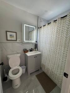 a bathroom with a toilet and a sink and a mirror at Yale Casa Blanco in New Haven