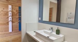 a bathroom with a white sink and a mirror at Balcons de Sorgeat - Chambres d'hôtes - Ecolodge en montagne in Sorgeat +40 photos