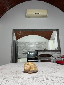 a snail sitting on a table in a kitchen at Poraa roof in Hurghada