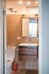a bathroom with a sink and a toilet and a mirror at Matira Blue House in Bora Bora +19 photos