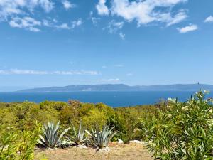 a view of the ocean from a hill with plants at Stone House Sea View Vista Natura Private Garden Quiet Location in Labin