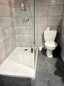 a bathroom with a shower and a toilet at Pleasant townhouse with free parking in Saint-Cyprien