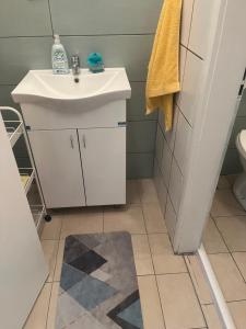 Un baño con lavabo e inodoro en Zeravica apartmani, en Šid