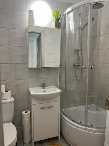 a bathroom with a shower and a sink and a toilet at Coconut Apartment - 5 min to Baltic Sea in Gdańsk