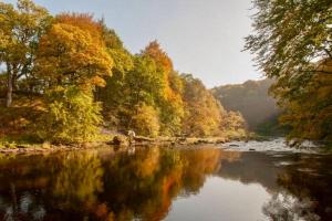 Příroda nedaleko chaty