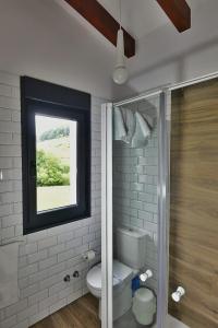 ein Badezimmer mit Toilette und Fenster in der Unterkunft vivienda vacacional LA PAULA in Sirviella