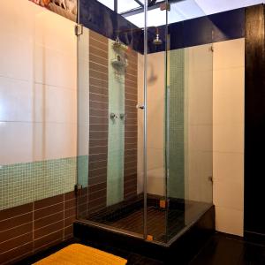 a shower with a glass door in a bathroom at Cat-themed East City Loft Apartment in Cape Town +38 photos