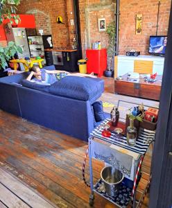 a man laying on a blue couch in a room at Cat-themed East City Loft Apartment in Cape Town