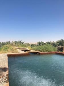a pool of water in the middle of a field at White desert camp in Bawiti