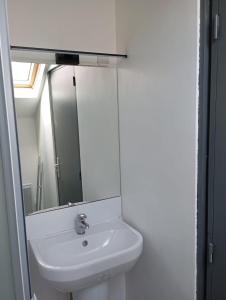 un baño con lavabo y espejo en Joli T1 bis rénové, en Lille