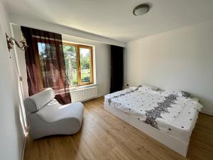 a white bedroom with a bed and a window at Villa Cetatuia in Cluj-Napoca