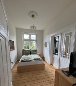 une chambre avec un lit, une télévision et une fenêtre dans l'établissement Grand Apartment Worms - Stilvolles Wohnen im Zentrum, à Worms