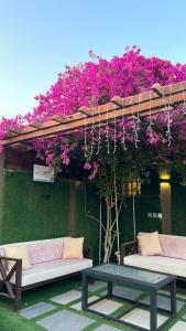 Gallery image of درة ينبع 