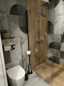 Ένα μπάνιο στο MODERNOVA Apartament Walendów Park