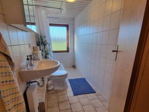 a bathroom with a sink and a toilet and a window at Pugholz XL in Hasselberg
