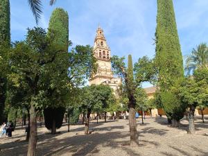 Zajímavé místo poblíž apartmánu