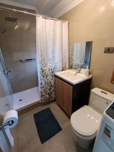 une salle de bain avec toilettes, lavabo et douche dans l'établissement Cabañas y Deptos Regional, à Valdivia 56 autres photos
