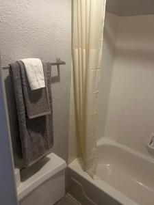 een badkamer met een douche, een toilet en een wastafel bij Double Bed Hotel Room 130 in Amarillo