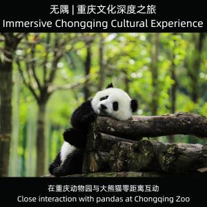 Imagine din galeria proprietății Wuyu Sky Garden Hotel Chongqing Zoo & Yangjiaping The Mixc Light rail în Chongqing