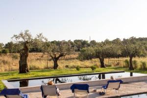 Ảnh trong thư viện ảnh của Quinta Dos Carvalhos Castelo Branco ở Castelo Branco