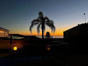 a palm tree on the beach at sunset at Ocean View Sunset Resort in Perth