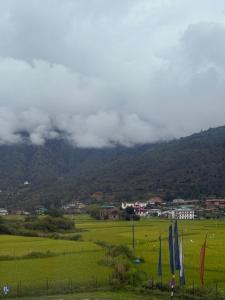 a green field with umbrellas in front of a mountain at Sompal Serviced Apartment in Paro