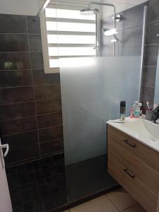 a bathroom with a shower and a sink and a mirror at Villa détente avec jardin, idéalement située, Environnement Calme et Serein in La Possession