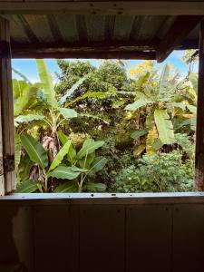 Afbeelding uit fotogalerij van Casa Macondo Nuquí in Nuquí