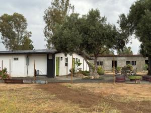 a white house with a tree in front of it at Ranchito Boutique Motel Buhos Valle Guadalupe in Francisco Zarco +34 photos