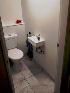 a bathroom with a toilet and a sink at Guest Room A Flat 2 33a Ventnor Street Seatoun, Wellington in Miramar