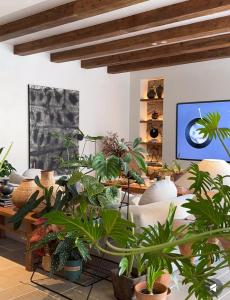 una sala de estar llena de muchas plantas en Ermington Luxury Villa, en Sídney