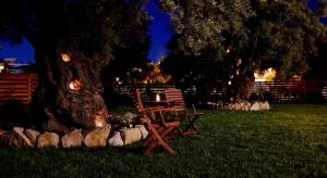 drewniana ławka siedząca pod drzewem w trawie w obiekcie Kamares Luxury Apartments w mieście Leukada (miasto)