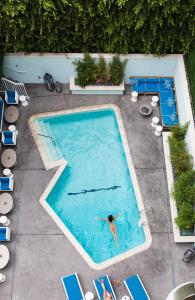 an overhead view of a person swimming in a swimming pool at Mosaic Hotel Beverly Hills in Los Angeles