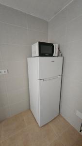 un microondas sobre una nevera en Apartamento para pareja en Jaén, en Jaén