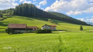 a house on a hill in a green field at Landhaus Kölbl in Turnau