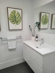 a bathroom with a sink and a mirror and a plant at Accommodation Portland Victoria in Portland +27 photos