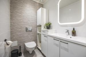 un bagno bianco con un water e un lavandino di Villa Borealis Levi a Levi Altre 43 foto