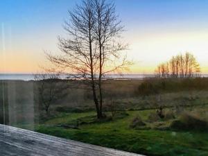 a view of a tree and the ocean at sunset at Modern Beach House - By Traum Ferienwohnungen in Haslevgårde