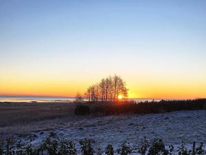 a sunset over the ocean with trees in a field at Modern Beach House - By Traum Ferienwohnungen in Haslevgårde +20 photos