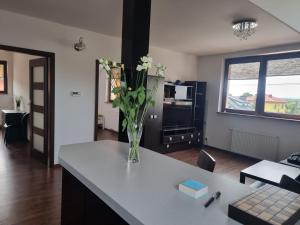 a living room with a vase of flowers on a counter at Apartment Oliver in Ujazd +4 photos