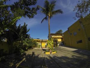una palmera en medio de un patio en Casa do Monge Apartments, en Ilhabela