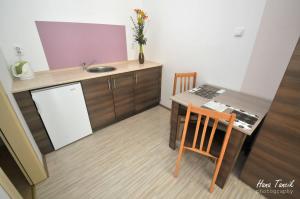 a small kitchen with a table and a sink at Apartments Svetlica in Bački Petrovac