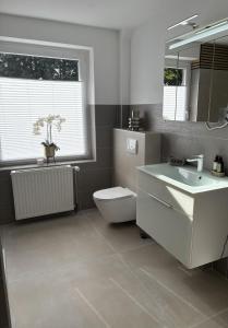 a bathroom with a toilet and a sink and a mirror at Ferienhaus Lamia in Bispingen