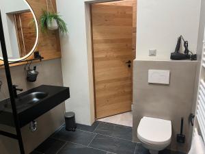 a bathroom with a toilet and a sink and a mirror at Mountain Homes -Base Camp Studio in Bönigen