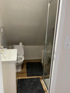 a bathroom with a toilet and a sink and a shower at Arlega in Saint-Germain-sur-Ay +15 photos