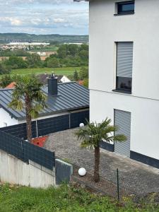 a white house with two palm trees in front of it at Einmaliger Ausblick und tolles Ambiente in Laubenheim