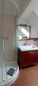 a bathroom with a sink and a shower at Juliusruh Strandparadies 12 in Juliusruh